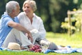 Senior couple picnicking outdoors smiling