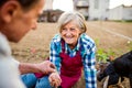 Senior couple planting onions in their garden into soil Royalty Free Stock Photo