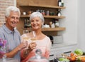 Senior couple, portrait and toast in kitchen with wine for retirement, celebration and love in apartment. Old man, woman Royalty Free Stock Photo