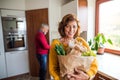 Senior couple preparing food in the kitchen. Royalty Free Stock Photo