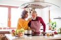 Senior couple preparing food in the kitchen. Royalty Free Stock Photo