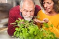 Senior couple preparing food in the kitchen. Royalty Free Stock Photo