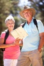 Senior couple reading map Royalty Free Stock Photo