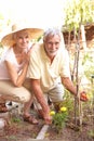 Senior Couple Relaxing In Garden Royalty Free Stock Photo