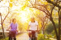 senior couple ride on bicycle in the park Royalty Free Stock Photo