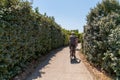 Senior couple ride bike during vacation near La Rochelle city in Charente maritime France