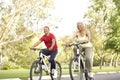 Senior Couple Riding Bikes In Park Royalty Free Stock Photo