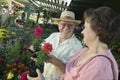 Senior Couple Shopping for flowers Royalty Free Stock Photo