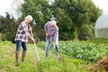 Senior couple with shovels at garden or farm