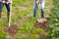 Senior couple with shovels at garden or farm