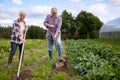 Senior couple with shovels at garden or farm