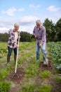 Senior couple with shovels at garden or farm