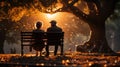 Senior couple sitting on bench in autumn park and looking sunset Royalty Free Stock Photo