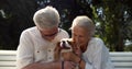 Senior couple sitting on bench with dog enjoying summertime in park Royalty Free Stock Photo