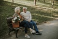 Senior couple sitting on the benchwith basket full of flowers and embracing Royalty Free Stock Photo