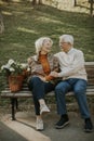 Senior couple sitting on the benchwith basket full of flowers and embracing Royalty Free Stock Photo