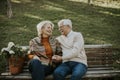 Senior couple sitting on the benchwith basket full of flowers and embracing Royalty Free Stock Photo