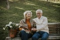 Senior couple sitting on the benchwith basket full of flowers and embracing Royalty Free Stock Photo