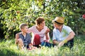 A senior couple with small grandson in apple orchard eating apples.