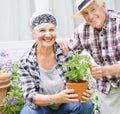Senior couple, smile and portrait with plant in garden for love and sustainability in home. Man, woman and flowers Royalty Free Stock Photo