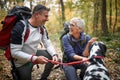 Senior couple with dog in nature Royalty Free Stock Photo