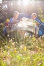 Senior couple studying the map Royalty Free Stock Photo