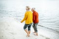 Senior couple in sweaters on the seashore Royalty Free Stock Photo