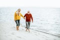 Senior couple in sweaters on the seashore Royalty Free Stock Photo