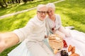 Senior couple taking selfie at picnic in park Royalty Free Stock Photo