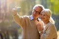 Senior couple taking selfie with smartphone in park Royalty Free Stock Photo