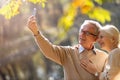 Senior couple taking selfie with smartphone in park Royalty Free Stock Photo