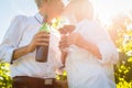 Senior couple toasting with wine glasses in vineyard Royalty Free Stock Photo