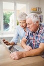 Senior couple using laptop Royalty Free Stock Photo