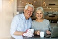 Senior couple using laptop Royalty Free Stock Photo