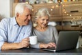 Senior couple using laptop Royalty Free Stock Photo