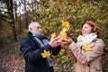 Senior couple on a walk in a forest in an autumn nature, throwing leaves. Royalty Free Stock Photo