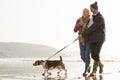 Senior Couple Walking Along Winter Beach With Pet Dog Royalty Free Stock Photo