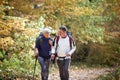 Senior couple walking in nature Royalty Free Stock Photo