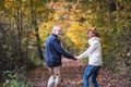 A senior couple walking in an autumn nature holding hands and looking back. Royalty Free Stock Photo