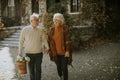 Senior couple walking with basket full of flowers and groceries in autumn park Royalty Free Stock Photo