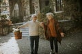 Senior couple walking with basket full of flowers and groceries in autumn park Royalty Free Stock Photo