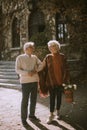 Senior couple walking with basket full of flowers and groceries in autumn park Royalty Free Stock Photo