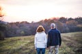 Senior couple walking in an autumn nature, holding hands. Royalty Free Stock Photo
