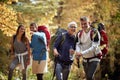 Senior couple walking in nature Royalty Free Stock Photo