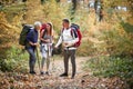 Senior couple walking in nature Royalty Free Stock Photo