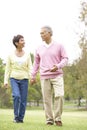 Senior Couple Walking In Park Royalty Free Stock Photo