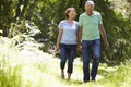 Senior Couple Walking In Summer Countryside Royalty Free Stock Photo