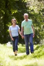 Senior Couple Walking In Summer Countryside Royalty Free Stock Photo