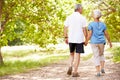 Senior couple walking together in the countryside, back view Royalty Free Stock Photo