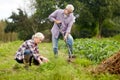 Senior couple working in garden or at summer farm